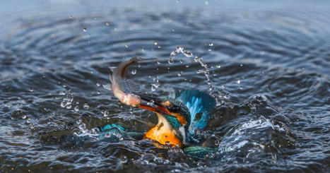 How Big Consumer Companies Can Fight Back | ED262 mylineONLINE:  ClassMatters | Scoop.it