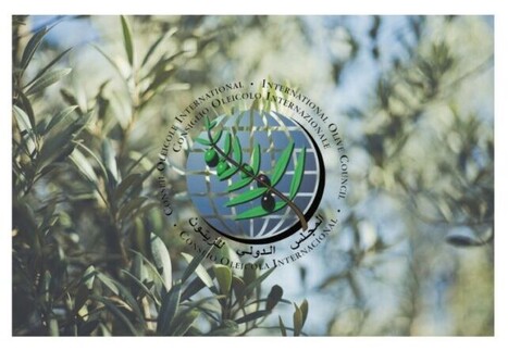 Launching a Call for Proposals to Support Promotional Programmes | OLIVE NEWS | Scoop.it