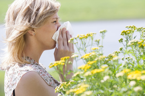 On connait enfin l’origine de l’allergie au pollen (+ vidéo) | Toxique, soyons vigilant ! | Scoop.it