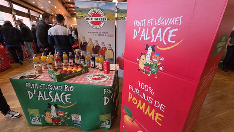 La fili&egrave;re fruits et l&eacute;gumes d'Alsace tente de se relancer en se diversifiant - ICI | Alsace Actu | Scoop.it