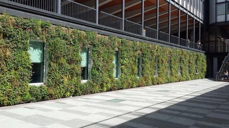 La végétalisation des murs  | Build Green, pour un habitat écologique | Scoop.it