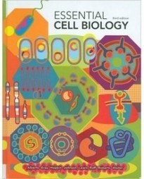 Essentials Of Cell Biology Pdf