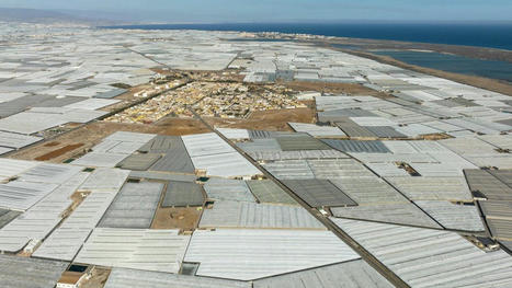 L'agriculture espagnole fragilisée par le risque climatique | Revue de presse du Centre de doc | Scoop.it