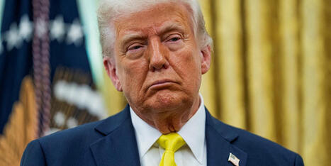 'Bombshell ruling': Trump-appointed judge blocks president's Portland National Guard move - Raw Story | Backstabber Watch | Scoop.it