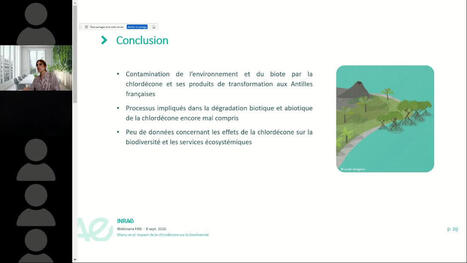 Laure Mamy : Impact de la chlord&eacute;cone sur la biodiversit&eacute; : Lacunes de connaissances malgr&eacute; 15 ans de politiques publiques aux Antilles | &Eacute;cosyst&egrave;mes Tropicaux | Scoop.it