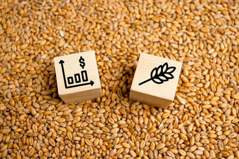 Global crop prices to remain low, while farmer costs continue to rise – Dan Basse | MED-Amin network | Scoop.it