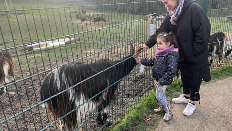 Lille&nbsp;: apr&egrave;s plus de quarante ans, la famille Dh&eacute;nin quitte la ferme Marcel-Dh&eacute;nin | Nature en ville | Scoop.it