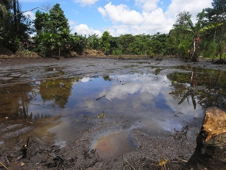 Canadian Civil Society: Freeze Chevron Assets, Use To Cover Ecuador Judgement on Amazon Destruction / 08.09.2016 | Pollution accidentelle des eaux (+ d&eacute;chets plastiques) | Scoop.it