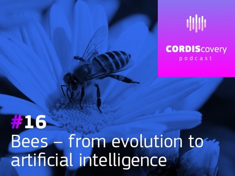 [Podcast] Les abeilles : de l&rsquo;&eacute;volution &agrave; l&rsquo;intelligence artificielle | EntomoScience | Scoop.it