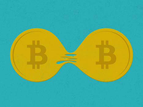 The Bitcoin Schism Shows the Genius of Open Source | Peer2Politics | Scoop.it