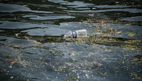 Les fleuves européens envahis par les microplastiques | Planète DDurable | Scoop.it