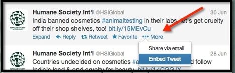 Twitter 'Embedded on These Websites' Test Curates Links Under Tweets | Social Media Content Curation | Scoop.it