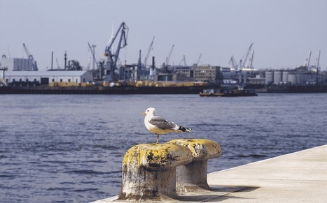 Dossier - Tour d’horizon des démarches « smart » - 08 08 20 | Veille LH Smart Port City | Scoop.it