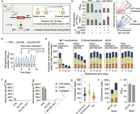 Design of the biosensor-dependent coupling system stabilizes the high-synthesis phenotype of cell factory | Ncm | RMH | Scoop.it