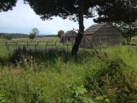 Fort Vancouver Public Archaeology | Archaeology News | Scoop.it