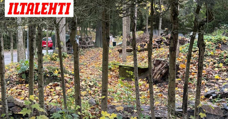 Juuri ostetun talon viem&auml;reist&auml; paljastui karmea totuus Kauniaisissa | A1Uutiset | Scoop.it