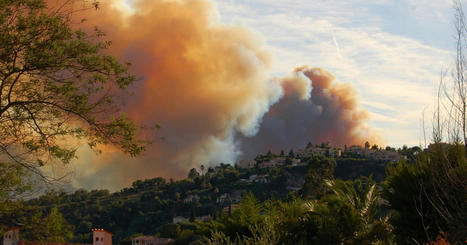 Plus de 200 sites Seveso directement menacés par des feux de forêt en 2050 - Actu Environnement | Biodiversité | Scoop.it