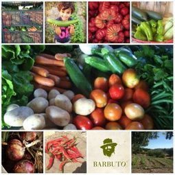 Top 5 places to buy organic food in Malta | Malta Life | Scoop.it