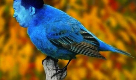 Diario de un ateo: Elecciones venezolanas, Dios, el Esp&iacute;ritu Santo y la Sant&iacute;sima Tetralidad | Religiones. Una visi&oacute;n cr&iacute;tica | Scoop.it