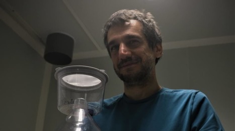 Glyphosate : l’alerte d’un neurobiologiste tourangeau | EntomoScience | Scoop.it