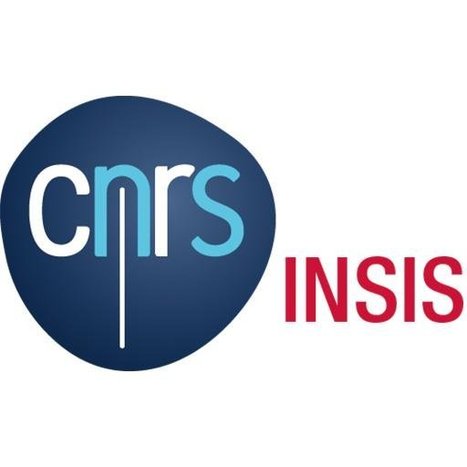 Appel d'offre de l'INSIS CNRS - Sciences de l’ingénierie pour la santé | Life Sciences Université Paris-Saclay | Scoop.it