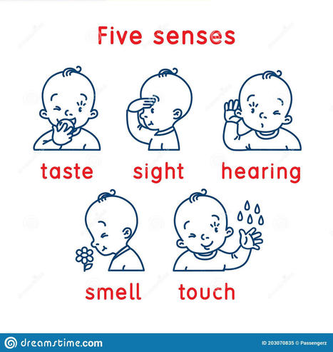 Five Senses Icon. Touch, Taste Hearing Sight Smell Stock Vector - Illustration of sense, baby: 203070835 | Cartes mentales, cartes heuristiques | Scoop.it