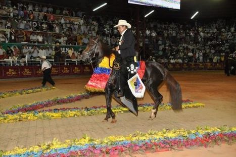 En la Feria Equina de Neiva, llegó la hora de la competencia | Caballo, Caballos | Scoop.it
