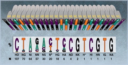 Science: TAL Effectors: Customizable Proteins for DNA Targeting (Review by Bogdanove and Voytas) | TAL effector science | Scoop.it