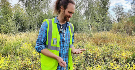 Metsäjätin aloitteesta syntyy ainutlaatuinen luonnon laboratorio – uhanalaiset lajit saavat uuden mahdollisuuden | Kotimaa | Yle | 1Uutiset - Lukemisen tähden | Scoop.it