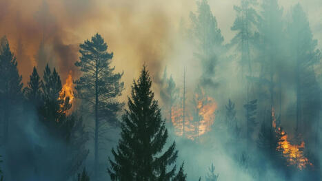 Wildfires are polluting the air far more than thought | Coastal Restoration | Scoop.it