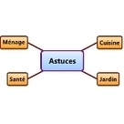 Technique du Mind Mapping: Pourquoi de Plus en Plus de Mamans l'Utilisent ? | Cartes mentales | Scoop.it