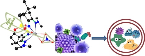 Ag(I) Camphor Complexes: Antimicrobial Activity by Design | iBB | Scoop.it