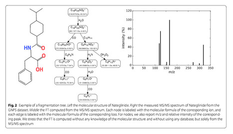 Fragmentation trees reloaded | Natural Products Chemistry Breaking News | Scoop.it