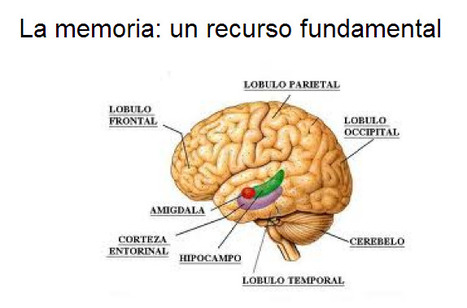 La memoria: un recurso fundamental | PIENSA en VERDE | Scoop.it