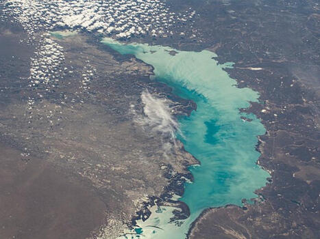 Les malheurs du Balkhach, un des plus grands lacs d'Asie centrale | Changement climatique & Biodiversité | Scoop.it