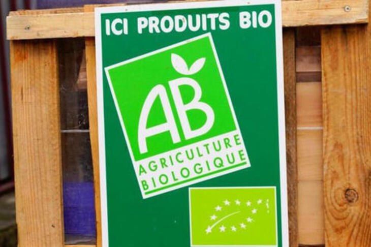 Le bio, « trésor national » en péril, a limité la casse en 2023