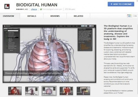 3 recursos educativos para recorrer el cuerpo humano en 3D | Contenidos Digitales | Educación Siglo XXI, Economía 4.0 | Scoop.it