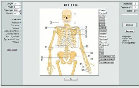 Thatquiz: ejercicios online de matem&aacute;ticas, vocabulario, geograf&iacute;a y ciencia | Educaci&oacute;n Siglo XXI, Econom&iacute;a 4.0 | Scoop.it