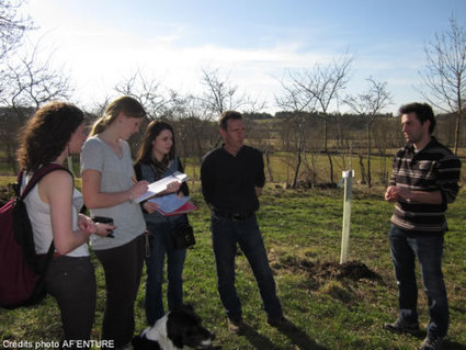 Quatre &eacute;l&egrave;ves-ing&eacute;nieurs agronomes ont fait un tour d&rsquo;Europe de l&rsquo;agroforesterie #projet_AF&rsquo;ENTURE | M&eacute;tiers et emploi de l'&eacute;conomie verte | Scoop.it