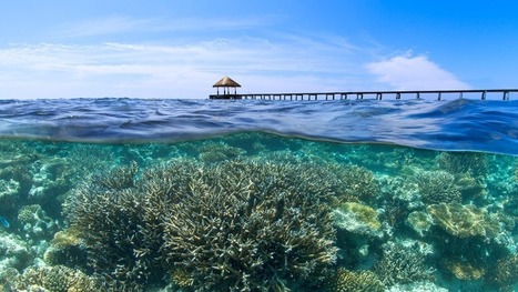 Oceans rank as the 7th largest world economy - Mashable | Mining, Energy, Critical Minerals and Just Transition | Scoop.it
