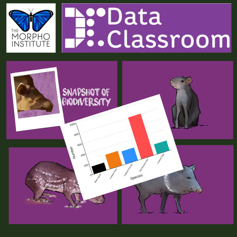 Classroom Resource:  Snapshot of Biodiversity | RAINFOREST EXPLORER | Scoop.it