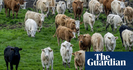 Global spending on subsidies that harm environment rises to $2.6tn, report says | Environment | The Guardian | Operation Deimos | Scoop.it