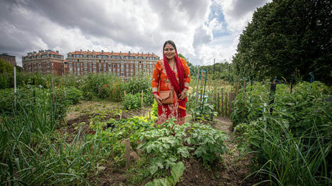 Lille: le parc Barbusse, une autre fa&ccedil;on de panser le quartier | Nature en ville | Scoop.it