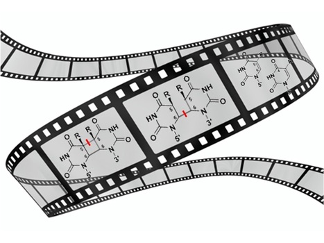 Visualizing the DNA repair process by a photolyase at atomic resolution | I2BC Paris-Saclay | Scoop.it