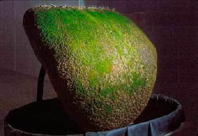 Jackie Brookner: Prima Lingua | Art Installations, Sculpture, Contemporary Art | Scoop.it