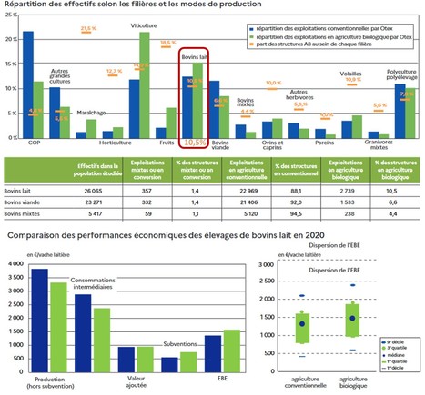 Les performances économiques des exploitations en agriculture biologique en 2020 | Lait de Normandie... et d'ailleurs | Scoop.it