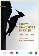 Six ONG publient un rapport sur l’avenir des forêts françaises - Réserves naturelles de France | Biodiversité | Scoop.it