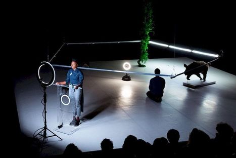 Rocio Berenguer : « détrôner l’homme du sommet de sa pyramide » | Culture numérique | Scoop.it