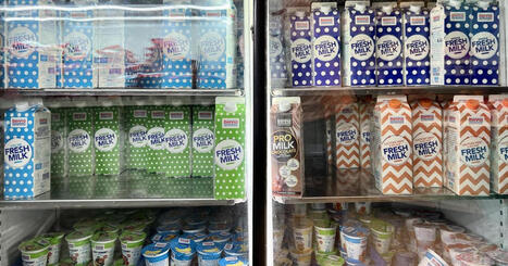 MALTA : Fresh milk supply hit by extreme heat, Benna says | CIHEAM Press Review | Scoop.it