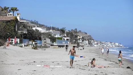 Resistant Malibu homeowner finally opens pathway to 'Billionaires' Beach' | Sandy Beach Ecology & Management | Scoop.it